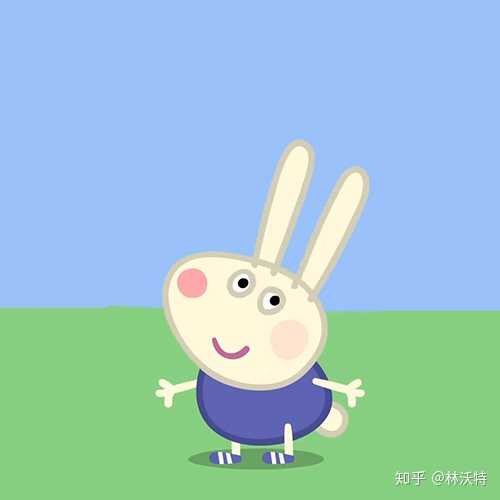 不吃胡萝卜的兔子